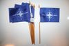 12 NATO 4" X 6" SMALL STICK FLAGS ON 10" POLE ..  NEW