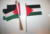 12 PALESTINE NATIONAL COUNTRY 4" X 6" SMALL STICK FLAGS ON 10" POLE .. NEW