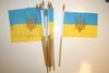 12 UKRAINE WITH LOGO COUNTRY 4" X 6" SMALL STICK FLAGS ON 10" POLE 