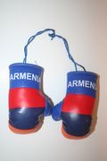 2 ARMENIA COUNTRY FLAG MINIATURE SET OF BOXING GLOVES TO HANG OVER YOUR CAR MIRROR .. NEW 