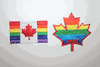 2 GAY & LESBIAN RAINBOW PRIDE IRON ON PATCHES CRESTS BADGES .. MAPLE LEAF & CANADA FLAG VARIETY .. NEW