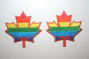 2 MAPLE LEAF GAY & LESBIAN RAINBOW PRIDE IRON ON PATCHES CRESTS BADGES .. NEW