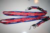 2 TAIWAN COUNTRY FLAG LANYARDS KEYCHAINS PASSHOLDERS ... NEW