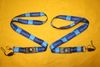 2 TORONTO CANADA CITY LANYARDS KEYCHAINS PASSHOLDERS ....NEW