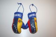 2 VENEZUELA COUNTRY FLAG SET OF MINIATURE BOXING GLOVES ... HIGH QUALITY NEW
