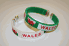 2 WALES COUNTRY FLAG FLEXIBLE BRACELET WRISTBAND ... VARIETY CHOOSE YOUR COLOR .. NEW