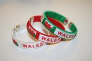 3 WALES COUNTRY FLAG FLEXIBLE BRACELETS WRISTBANDS .. NEW