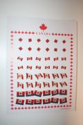 48 CANADA ASSORTMENT OF COUNTRY FLAG LAPEL BADGE PIN SETS .. WHOLESALE CANADIAN .. NEW