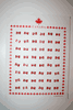 48 CANADA COUNTRY FLAG SQUARE LAPEL BADGE PIN SET .. WHOLESALE CANADIAN .. NEW