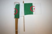 6 ALGERIA COUNTRY 4" X 6" SMALL STICK FLAGS WITH 10" POLE ..NEW