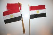 6 EGYPT NATIONAL COUNTRY FLAG 4" X 6" SMALL STICK FLAG ON 10" POLE ... NEW