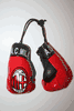 AC MILAN SOCCER FOOTBALL CLUB SET OF 2 BOXING GLOVES FOR YOUR CAR MIRROR .. NEW