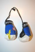 ACORES COUNTRY FLAG MINIATURE BOXING GLOVES TO HANG OVER YOUR CAR MIRROR .. AZORES .. NEW