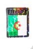 ALGERIA SQUARE COUNTRY FLAG METALLIC BUMPER STICKER DECAL .. SIZE  3" X 4" INCHES .. NEW