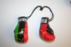 AFRICAN AMERICAN COUNTRY FLAG MINIATURE BOXING GLOVES .. SOUTH AFRICA ... NEW