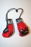 ALBANIA COUNTRY FLAG MINIATURE BOXING GLOVES ... NEW