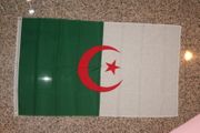 ALGERIA 3' X 5' NATIONAL COUNTRY FLAG LARGE BANNER TAPESTRY .. NEW