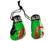 ALGERIA COUNTRY FLAG PAIR OF MINIATURE BOXING GLOVES ATTACHED TOGETHER TO PUT OVER YOUR CAR MIRROR.. NEW