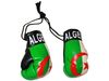 ALGERIA COUNTRY FLAG PAIR OF MINIATURE BOXING GLOVES ATTACHED TOGETHER TO PUT OVER YOUR CAR MIRROR.. NEW