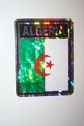 ALGERIA COUNTRY FLAG SMALL METALIC CAR AUTOMOBILE BUMPER STICKER DECAL EMBLEM ... FIFA WORLD CUP SOCCER  FOOTBALL .. NEW