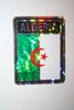 ALGERIA COUNTRY FLAG SMALL METALIC CAR AUTOMOBILE BUMPER STICKER DECAL EMBLEM ... FIFA WORLD CUP SOCCER  FOOTBALL .. NEW