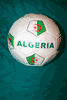 ALGERIA FIFA WORLD CUP COUNTRY FLAG SOCCER BALL FOOTBALL .. SIZE 5 .. NEW