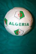 ALGERIA FIFA WORLD CUP COUNTRY FLAG SOCCER BALL FOOTBALL .. SIZE 5 .. NEW