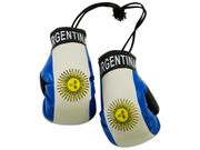 ARGENTINA COUNTRY FLAG MINI BOXING GLOVES ..HIGH QUALITY .. NEW