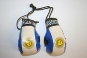 ARGENTINA  COUNTRY FLAG PAIR OF MINATURE BOXING GLOVES .. NEW