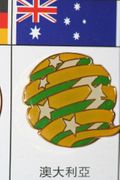 AUSTRALIA FIFA WORLD CUP SOCCER FOOTBALL LOGO PIN .. NEW