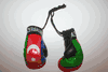 AZERBAIJAN COUNTRY FLAG PAIR OF MINIATURE BOXING GLOVER FOR CAR .. NEW