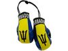 BARBADOS COUNTRY FLAG MINI BOXING GLOVES ..HIGH QUALITY .. NEW