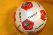 BENFICA PLAYER NAMES HIGH GLOSS SOCCER BALL FOOTBALL...  SIZE 5 ... NEW