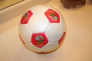 BENFICA PORTUGAL FOOTBALL CREST  SOCCER BALL  SIZE 5 ... SHINY HIGH GLOSS FINISH ... NEW