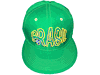 BRASIL BRAZIL GREEN COUNTRY FLAG SNAPBACK HIP HOP HAT CAP .. FIFA SOCCER WORLD CUP .. NEW