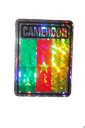 CAMEROON SQUARE COUNTRY FLAG METALLIC BUMPER STICKER DECAL .. SIZE  3" X 4" INCHES .. NEW