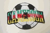 CAMEROON SOCCER BALL FOOTBALL IRON ON PATCH CREST BADGE .. NEW