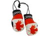 CANADA COUNTRY FLAG MINI BOXING GLOVES ..HIGH QUALITY .. NEW