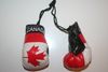 CANADA COUNTRY FLAG PAIR OF MINIATURE BOXING GLOVES .. NEW