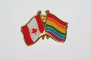 CANADA / GAY & LESBIAN RAINBOW PRIDE FLAG SMALL FRIENDSHIP PIN LAPEL BADGE .. NEW