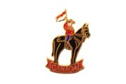 CANADA MOUNTIE HORSE PICTURE SMALL LAPEL PIN BADGE