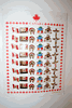 CANADA NATIVE INDIAN ASSORTMENT LAPEL PIN BADGE SET ... WHOLESALE CANADIAN .. NEW