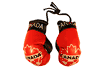 CANADA SOCCER NATIONAL TEAM LOGO MINI BOXING GLOVES