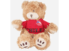 CHILE FIFA WORLD CUP SOCCER FOOTBALL JERSEY TEDDY BEAR PLUSH TOY .. NEW