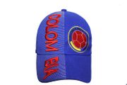 COLOMBIA BLUE FEDERACION COLOMBIANA DE FUTBOL LOGO FIFA WORLD CUP EMBOSSED SOCCER HAT CAP