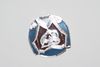 COLORADO AVALANCHE NHL HOCKEY HOME JERSEY PIN .. NEW