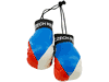 CZECH REPUBLIC COUNTRY FLAG MINI BOXING GLOVES ..HIGH QUALITY .. NEW