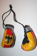 DEUTSCHLAND COUNTRY FLAG MINIATURE BOXING GLOVES ... GERMANY ... NEW