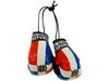 DOMINICAN REPUBLIC COUNTRY FLAG MINI BOXING GLOVES ..HIGH QUALITY .. NEW