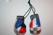 DOMINICAN REPUBLIC COUNTRY FLAG PAIR OF MINIATURE BOXING GLOVES .. NEW
